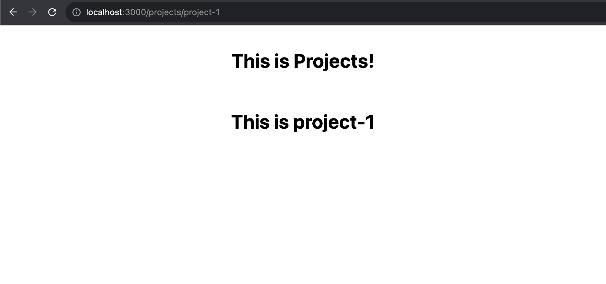 /projects/[slug]